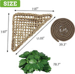 Natural seagrass reptile hammock in a terrarium