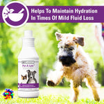 Vet Classics Pet-A-Lyte oral electrolyte supplement product label
