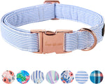 Unique Style Paws dog collar front view blue stripe