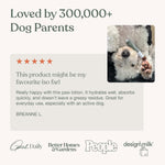 Dandylion plant-based dog paw moisturizer for sensitive skin and seasonal allergies