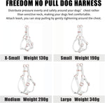 D-ring leash attachment points on AaufiLux dog harness