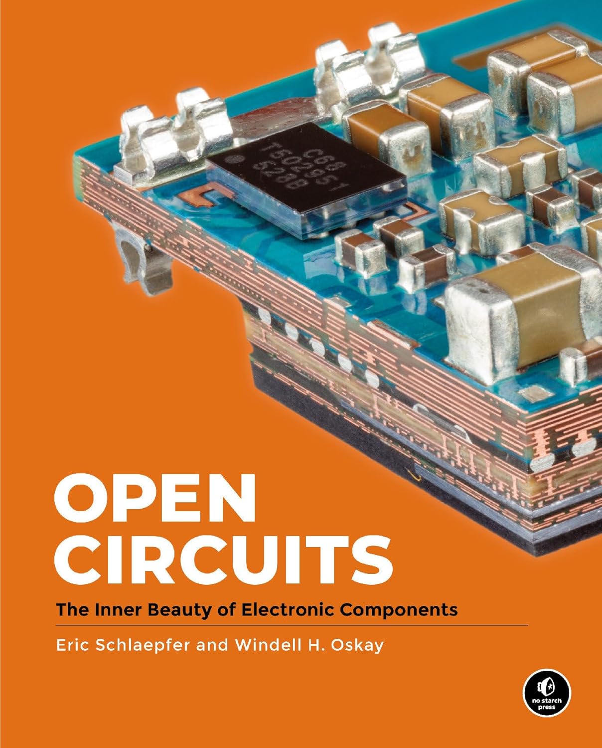 Open Circuits: The Inner Beauty of Electronic Components (Packaging may vary) - Image 1