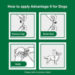 Advantage II XL Dog Vet-Recommended Flea Treatment & Prevention | Dogs Over 55 lbs. | 6-Month Supply - Image 9