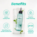 Korean hair care A'PIEU Mint Vinegar for refreshing scalp