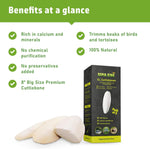 Premium raw calcium carbonate cuttlebone pack for reptiles and tortoises