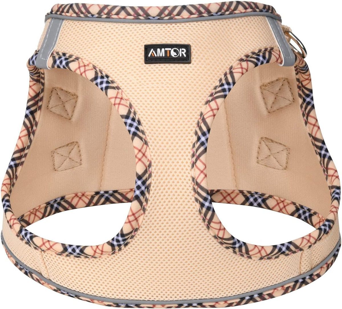 AMTOR puppy harness showing dual D-rings for no-pull walking