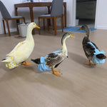 BestParts farm pet goose diaper set emphasizing the leak-proof protection features.