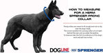 Herm Sprenger small dog training collar center plate details for even pressure