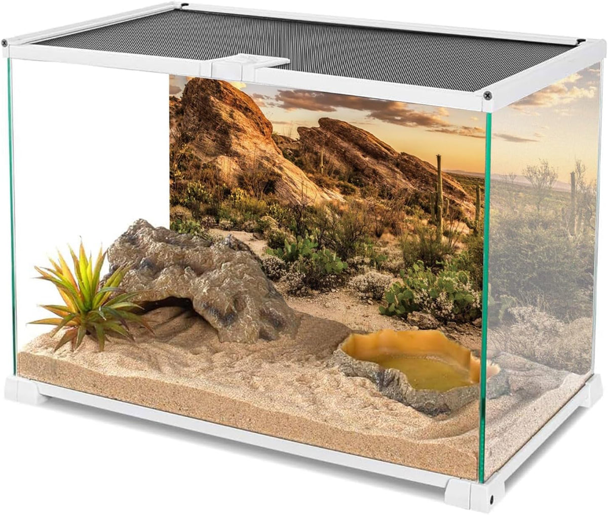 Desert landscape aquarium background attached externally to a glass fish tank.