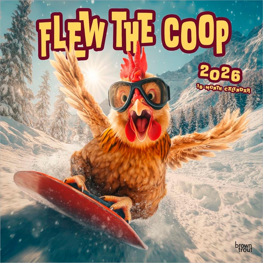 Flew the Coop | 2026 12 x 24 Inch (Hanging) Monthly Square Wall Calendar | Plastic-Free | BrownTrout | Funny Humor Chickens - Image 1