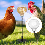 Moyardow slow feeder chicken toy installed in coop soil filled with mealworms