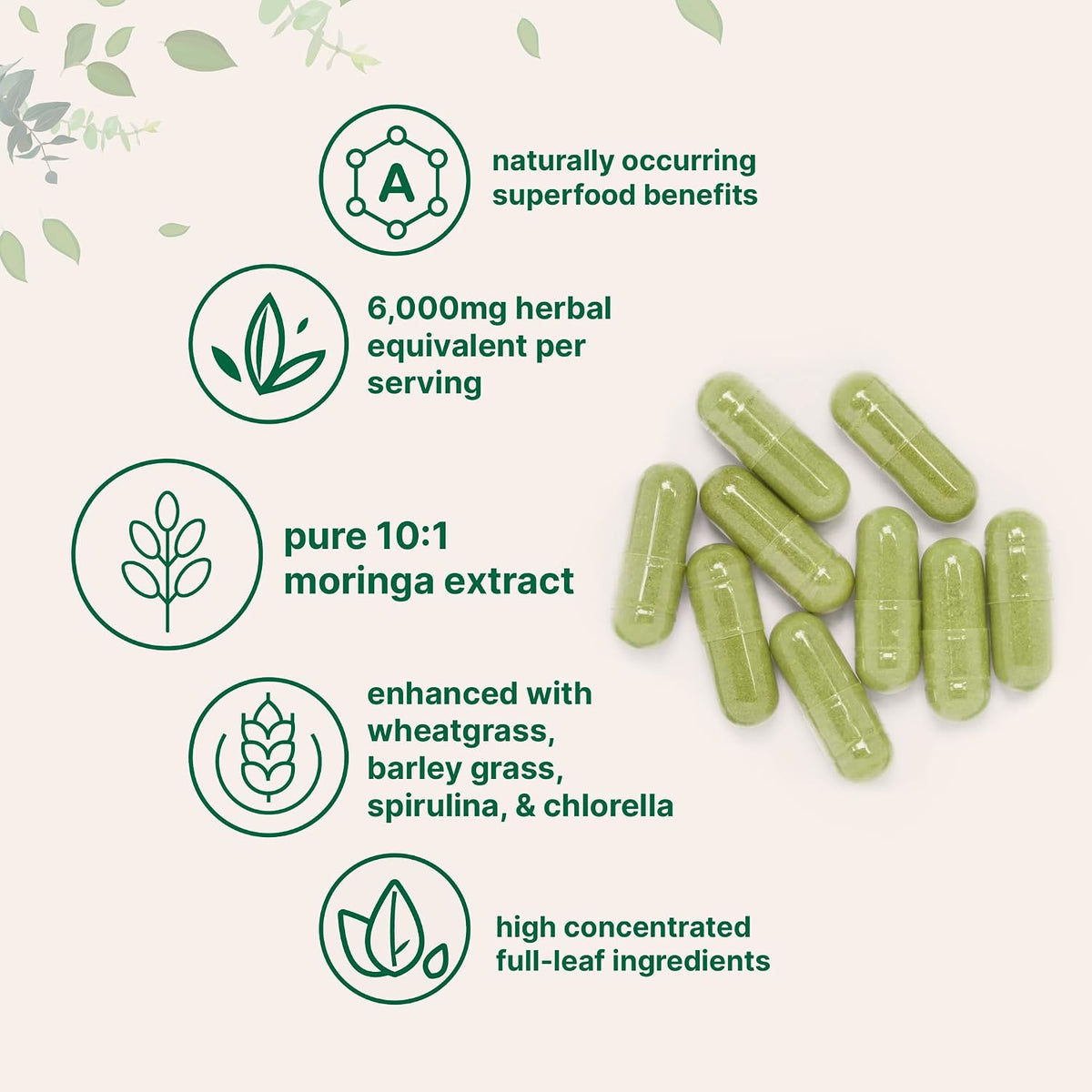 Micro Ingredients Moringa Oleifera capsules ingredients highlight view