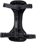 Mighty Paw dog car harness reflective stitching visibility test