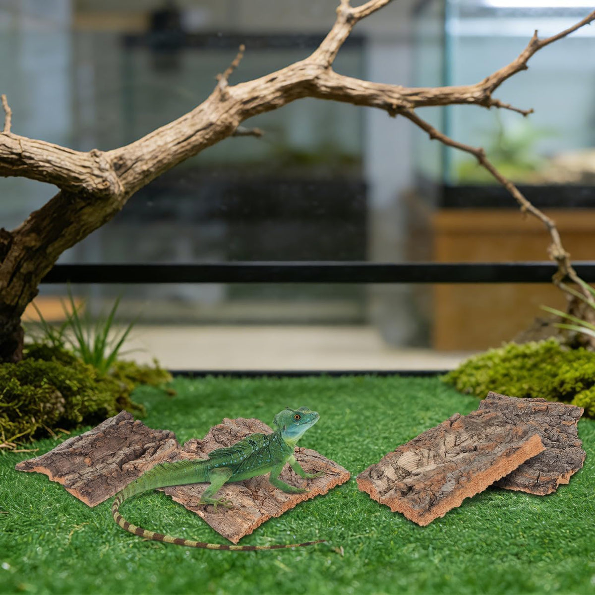 NOLITOY Reptile Bark Climbing Platform 4 Pcs Natural Tree Bark Terrarium Decor for Small Pets Snake Lizard Tortoise Hideout and Habitat Accessories - Image 9