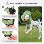 Comparison of Avont mesh collar versus standard plastic cone
