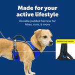 PetSafe active dog harness elastic neckline detail