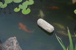 Summit 125 natural pond treatment box in retail display