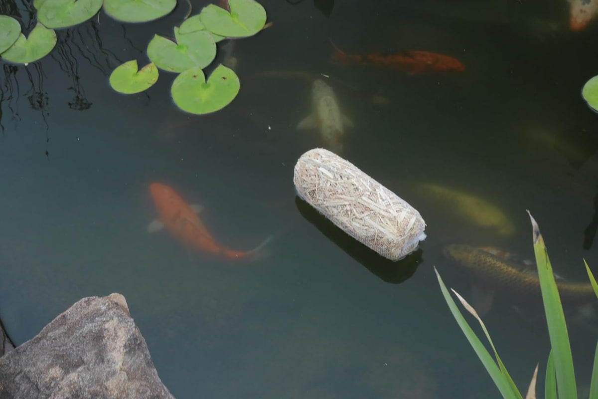 Summit 125 natural pond treatment box in retail display