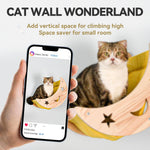 Ditosh decorative cat lounge wall furniture