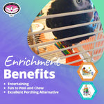 Multi colored avian entertainment block for medium to large parrots.