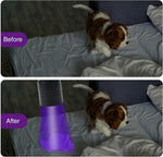 Two pack UV torch bundle showing the dual mini flashlights and AAA battery components.