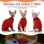 Side view of Sphynx cat in four legged sweater