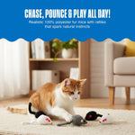 Two inch soft polyester cat toys with built-in rattling sounds