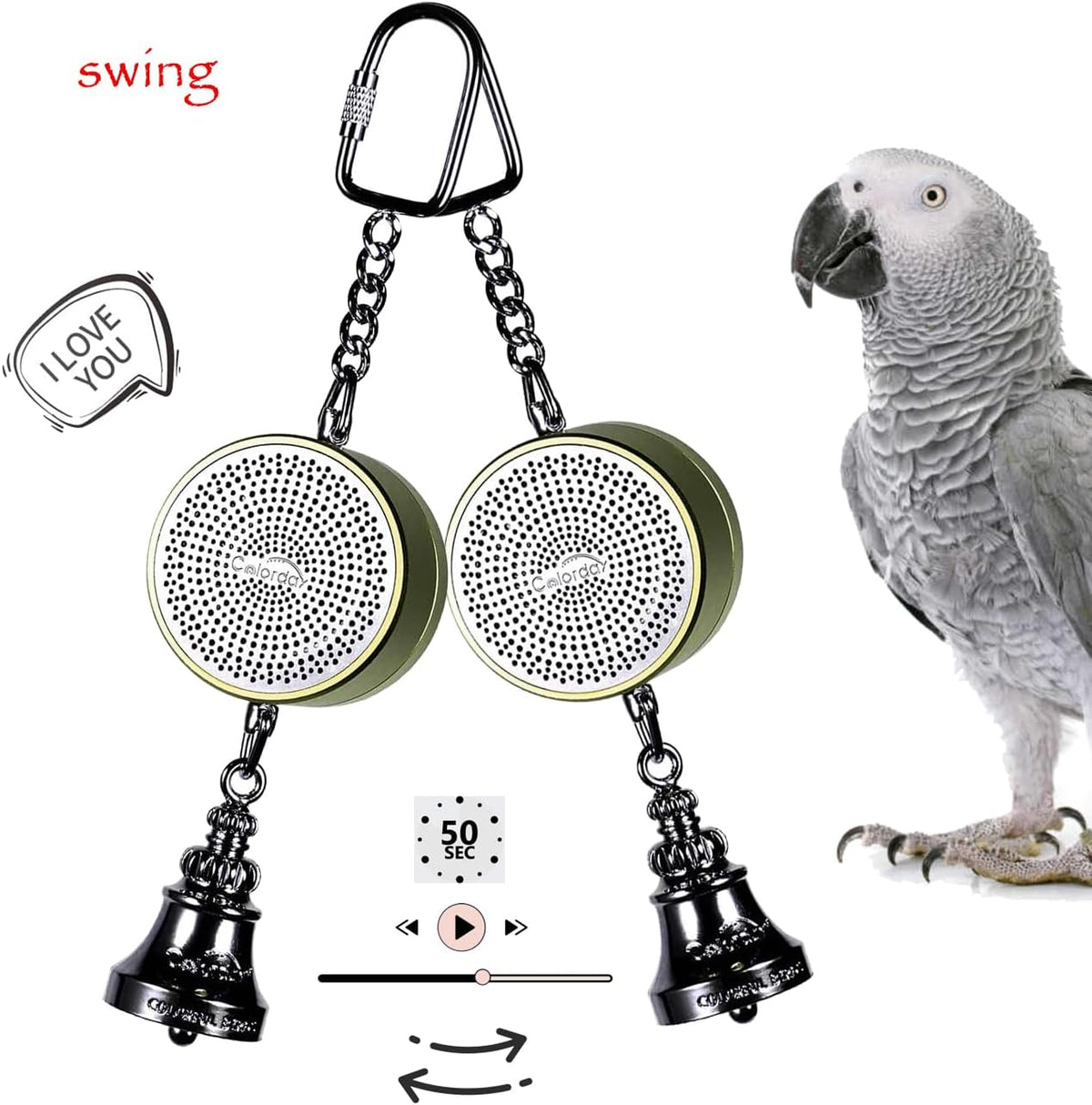Colorday bird speech training toy with heavy duty metal chain