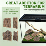 Nolitoy gecko bark backdrop and enclosure decoration