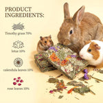 Twelve piece small animal enrichment toys package designed for tooth grinding and boredom relief.