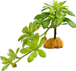 Woyrise Reptile Plants Succulent, Artificial Desert Plant for Terrarium Decor, Bearded Dragon Tank Accessories fit Gecko Lizard Chameleon Ball Python Snake - Guzmania lingulata - Image 8