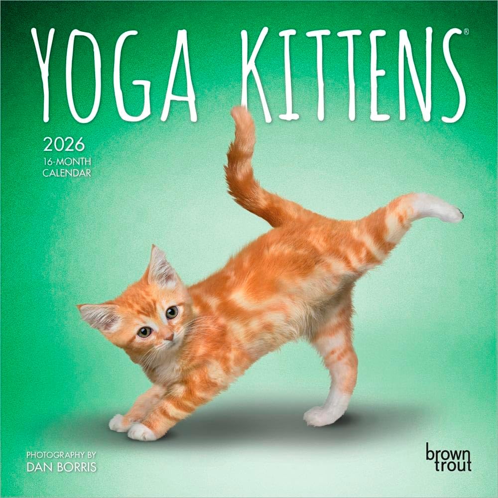 Yoga Kittens OFFICIAL | 2026 7 x 14 Inch (Hanging) Monthly Mini Wall Calendar | BrownTrout | Animals Humor Cats Feline - Image 1