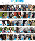 Side profile of Medium size dog car harness