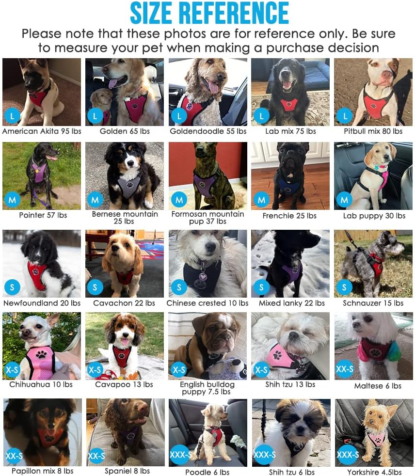 Side profile of Medium size dog car harness