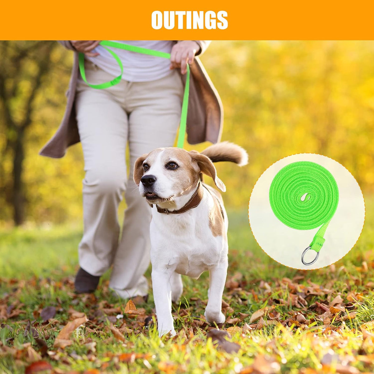 Demonstration of the slip loop mechanism designed for quick pet control and rescue.