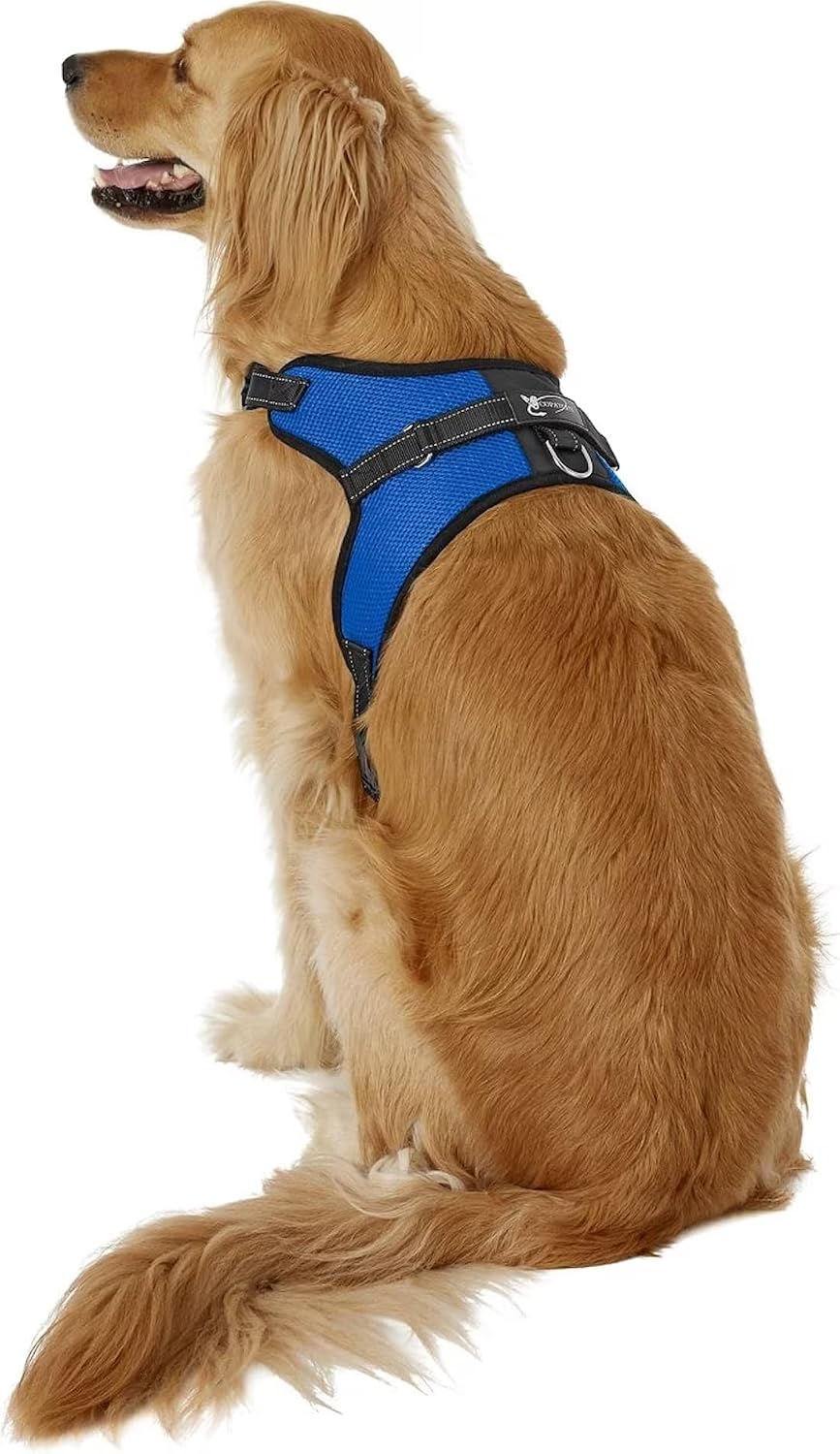 No Pull Reflective Adjustable Dog Harness With Handle- Comfortable Soft All Weather Mesh, Easy On Puppy Harness For Small Medium and Large Dogs (Blue) Small - Image 9