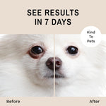 Eye Envy pet grooming powder jar label details