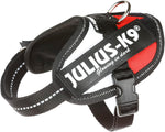 Julius-K9 IDC Powerharness, Size: 2XL/3, Dark Purple - Image 13