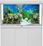 Close-up of the high-definition details on the AWERT fish tank background.
