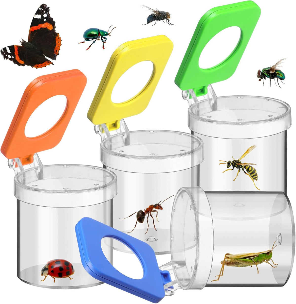 Halloscume 4 Pcs Insect Bug Viewer for kids front view