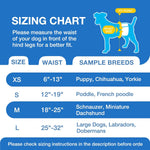 Dono disposable pet diapers package size guide chart highlighting the 12 to 19 inch waist fit