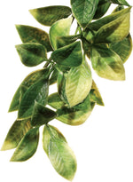 Authentic Exo Terra plastic plant for sale in India