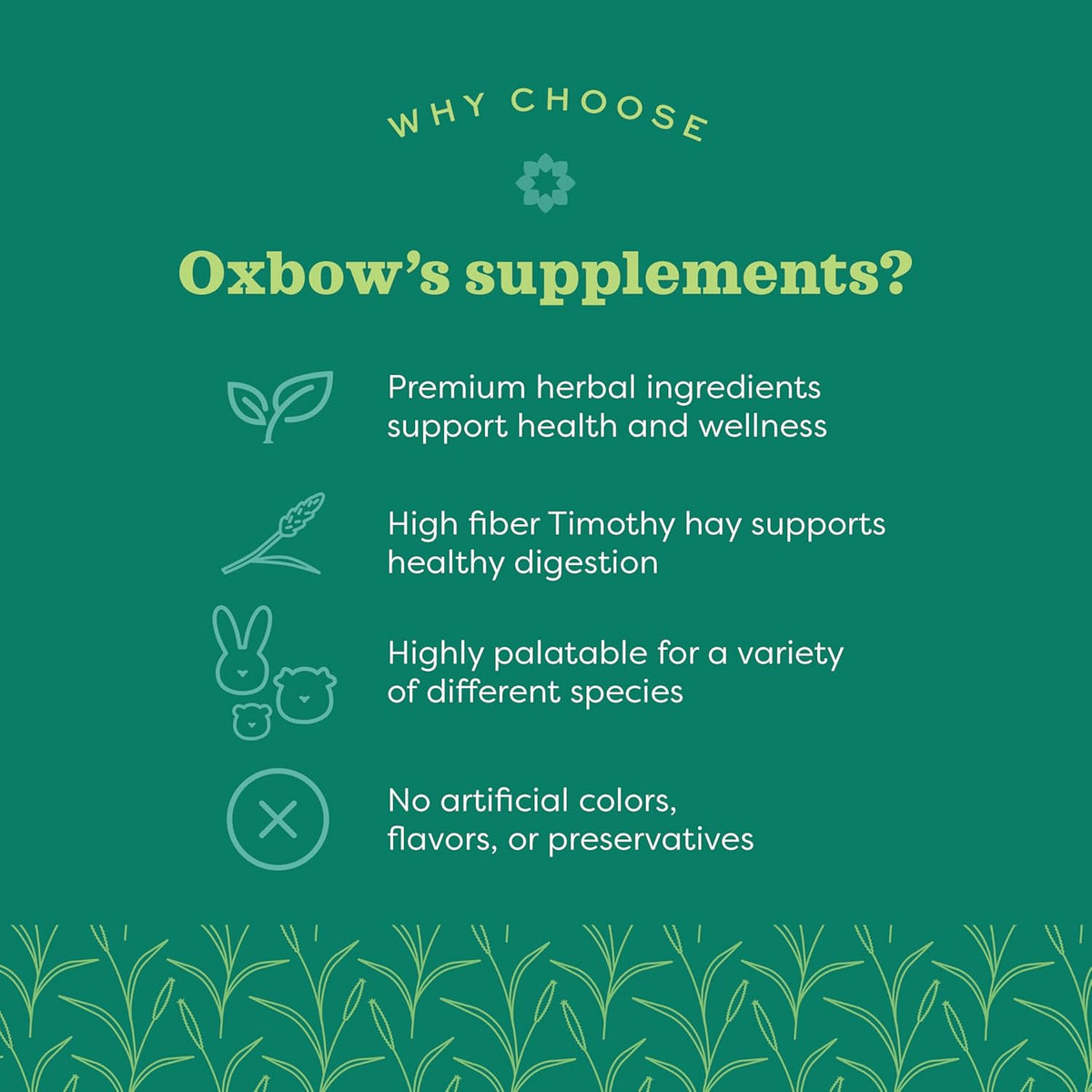 Oxbow Timothy hay based anti inflammatory supplement for rabbits