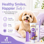 VVHOMIFE authentic imported pet toothbrush and toothpaste routine items highlighting premium packaging