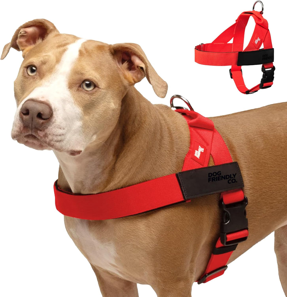 Dog Friendly Co. Dog Harness | Chafe Resistant Webbing, Adjustable Neck & Chest, and Heavy Duty D-Ring | Sturdy, Comfortable, Easy to Use | Classic Blue, Size L - Image 9
