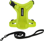 Voyager Escape-Proof Step-in Lock Cat Harness & 5ft Neoprene-Handle Leash Set All-Weather Mesh with Reflective Stitching for Small to Large Cats by Best Pet Supplies, Lime (327), XS - Image 12