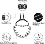 Jipimon adjustable training collar showing the high density nylon strap with reflective webbing.