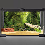 AWERT foggy jungle aquarium backdrop showing massive tree roots and vibrant foliage