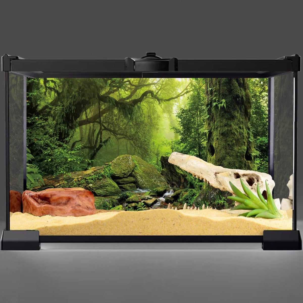 AWERT foggy jungle aquarium backdrop showing massive tree roots and vibrant foliage