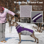 LeLePet dog winter coat close-up of turtleneck faux fur collar